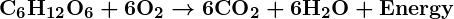 Rendered by QuickLaTeX.com \boldsymbol{\textbf{C}_6\textbf{H}_{12}\textbf{O}_6 + 6\textbf{O}_2 \rightarrow 6\textbf{CO}_2 + 6\textbf{H}_2\textbf{O} + \textbf{Energy}}