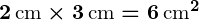 Rendered by QuickLaTeX.com \boldsymbol{2 \, \text{cm} \times 3 \, \text{cm} = 6 \, \text{cm}^2}