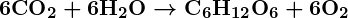 Rendered by QuickLaTeX.com \boldsymbol{6\textbf{CO}_2 + 6\textbf{H}_2\textbf{O} \rightarrow \textbf{C}_6\textbf{H}_{12}\textbf{O}_6 + 6\textbf{O}_2}