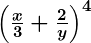 Rendered by QuickLaTeX.com \boldsymbol{\left(\frac{x}{3} + \frac{2}{y}\right)^4}
