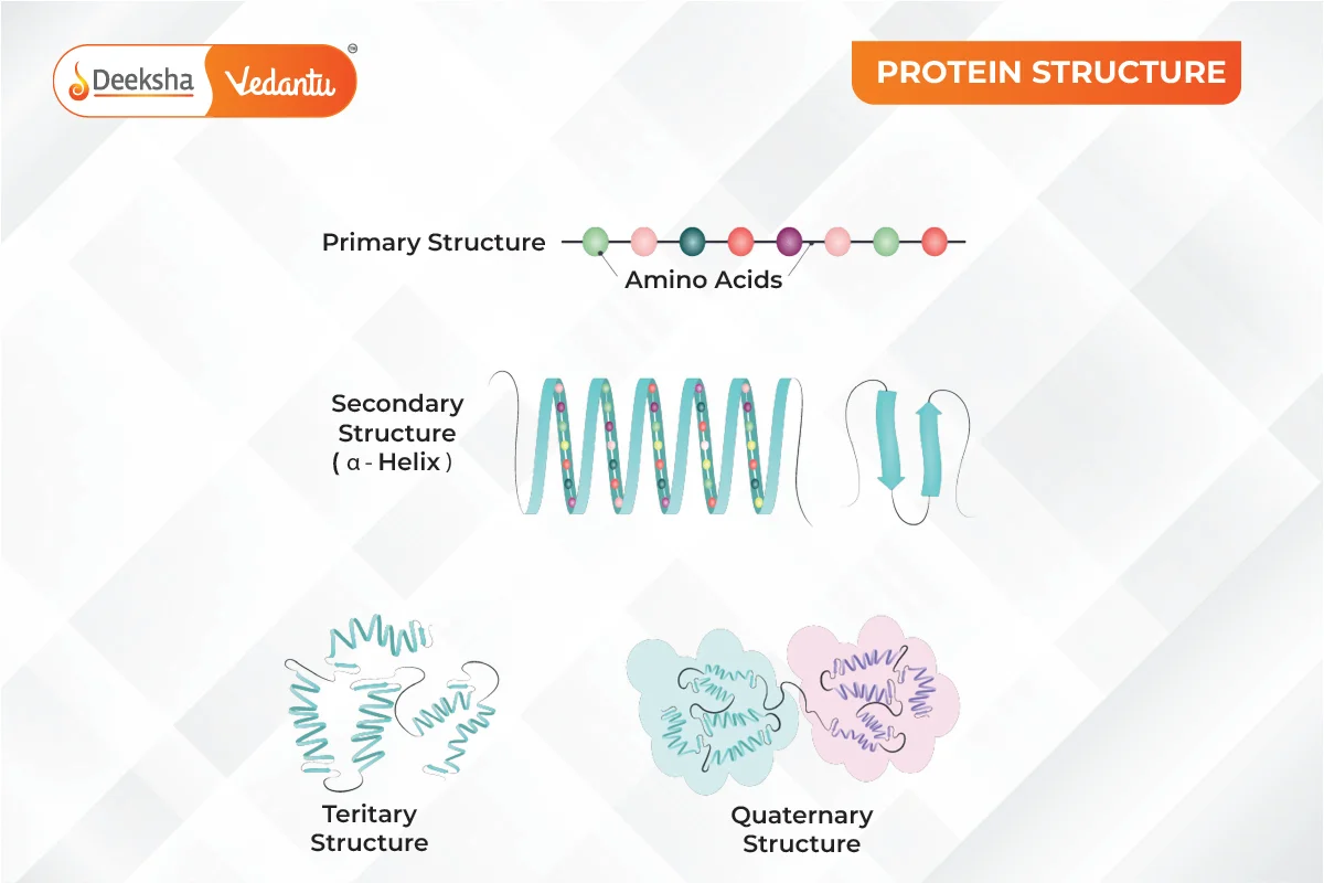 Protein Structure Definition