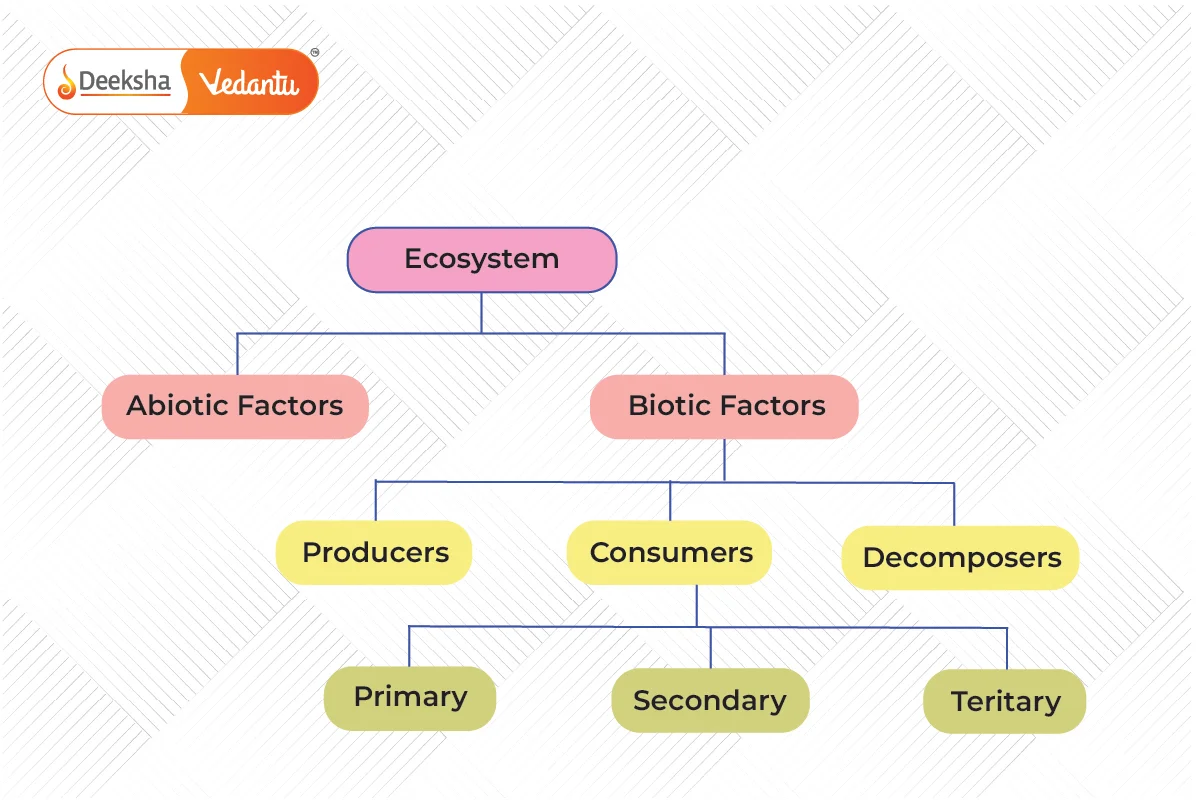 Structure of an Ecosystem