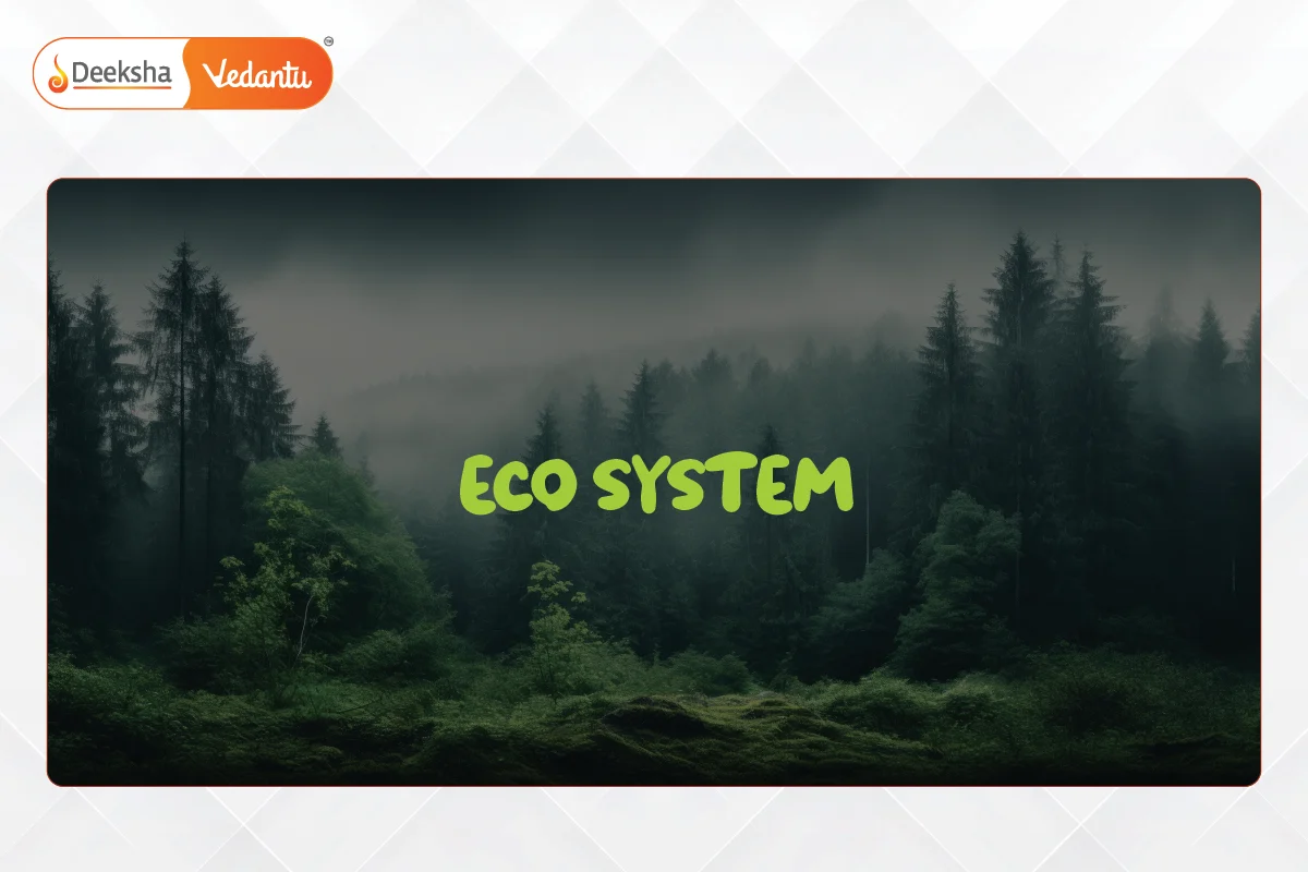 What is an Ecosystem