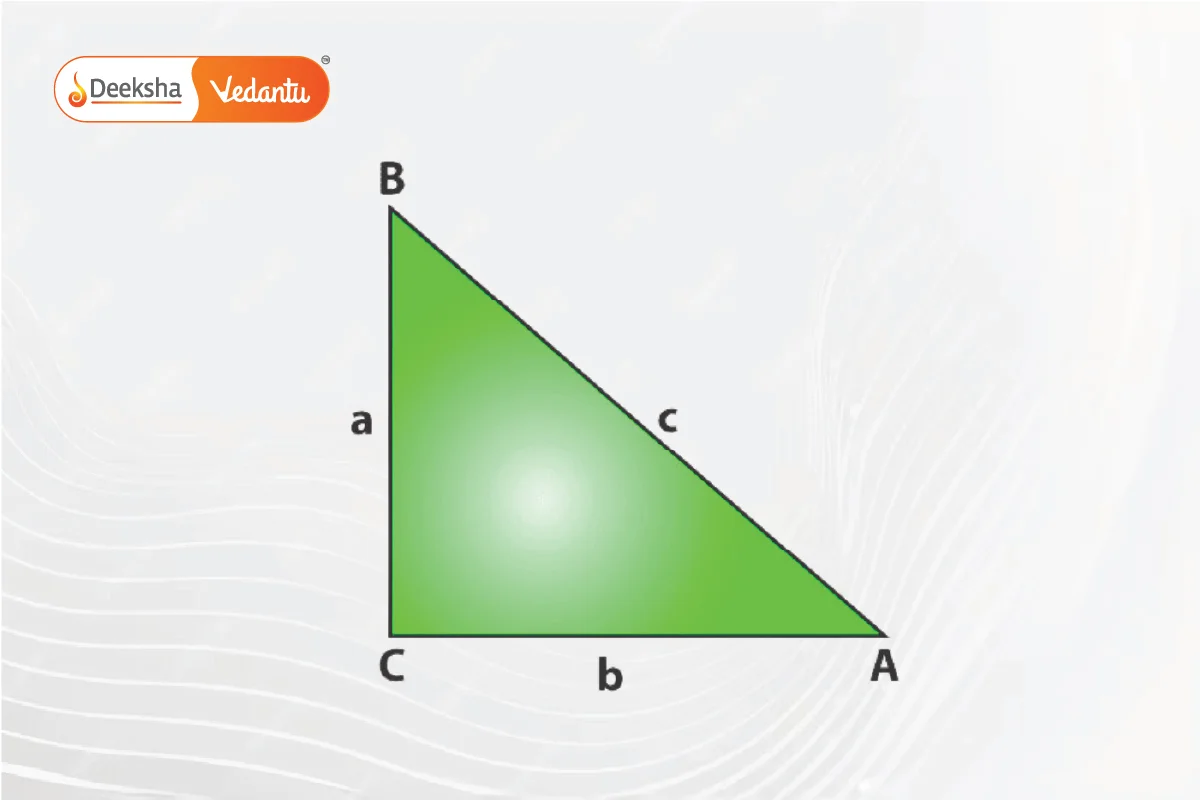 Area of a Triangle Given Two Sides and the Included Angle SAS