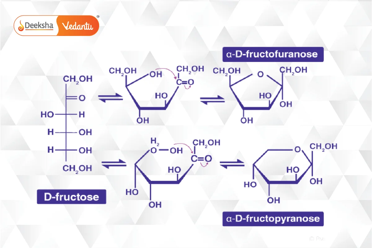 Carbohydrate Structure Details - Fructose