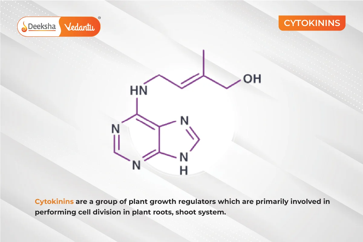 Cytokinins