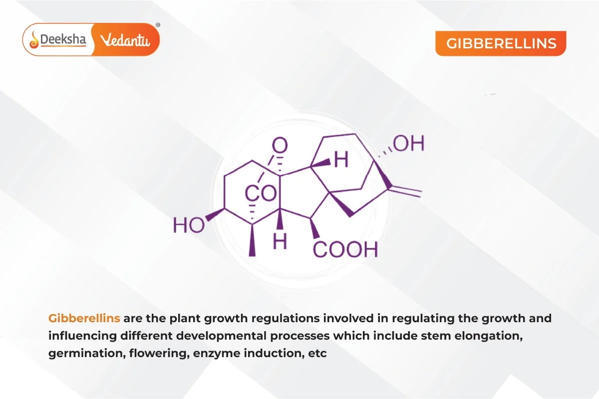 Gibberellins