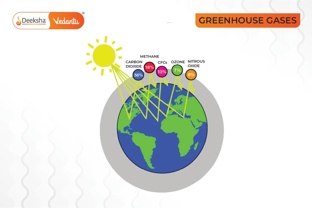 Greenhouse Gases The Contributors