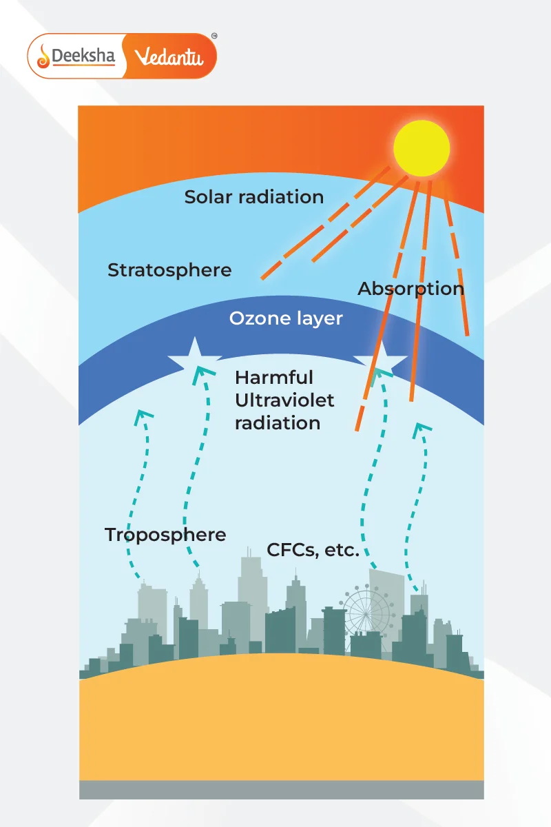 Ozone Layer Depletion