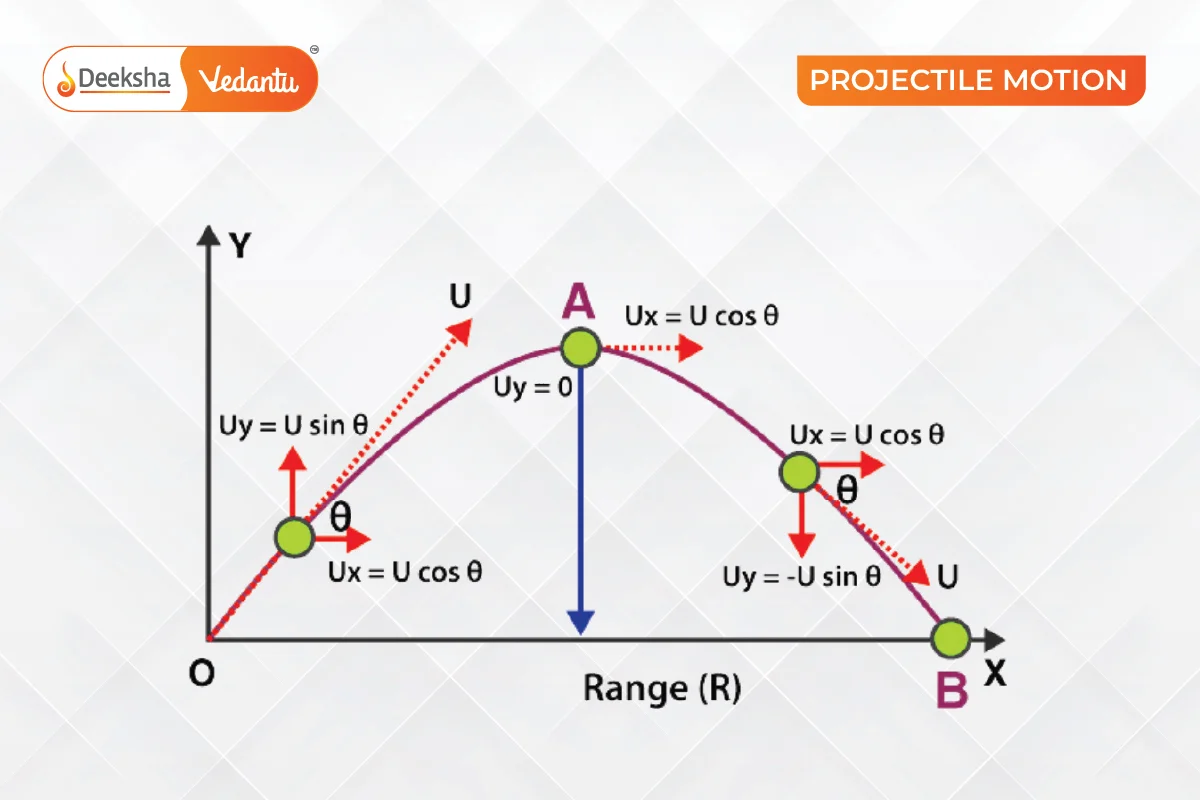 Projectile Motion Examples Sports