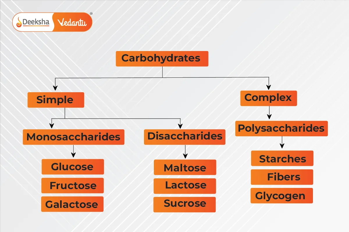 Types of Carbohydrates