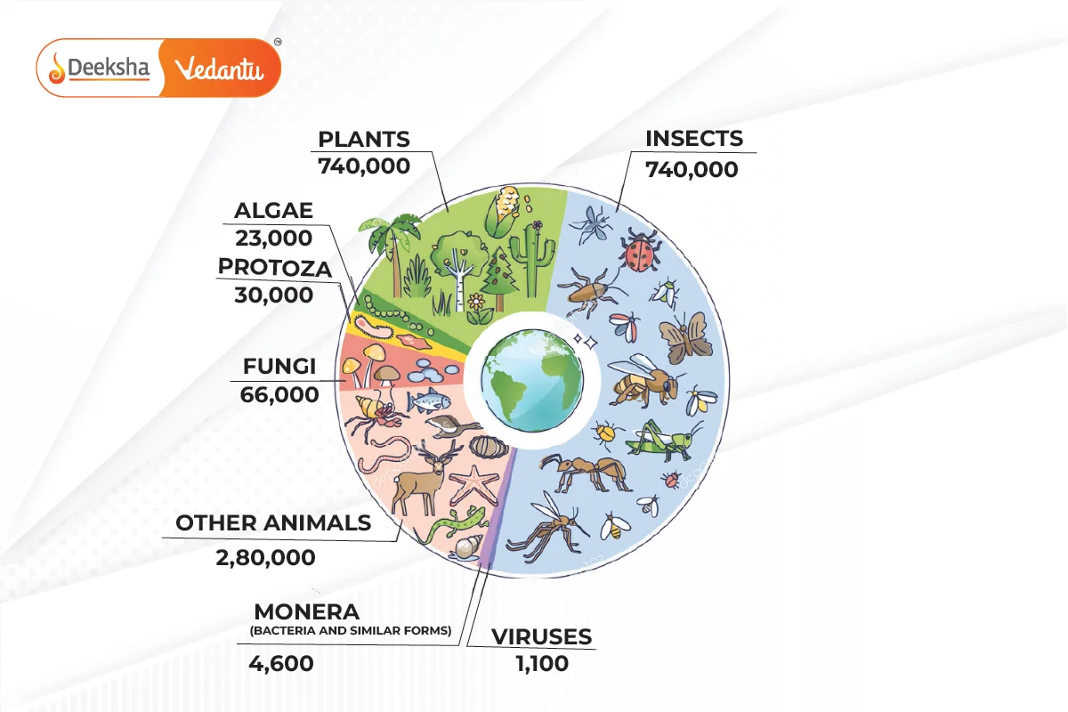 What is Biodiversity