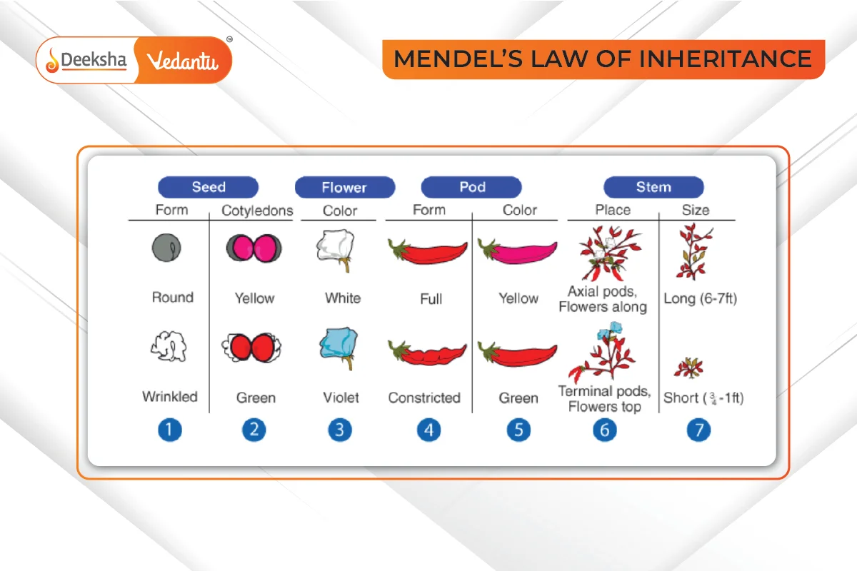 What is Inheritance