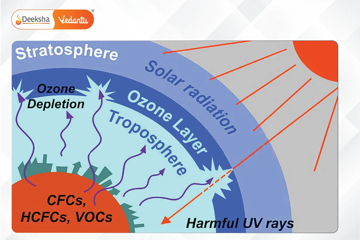 What is Ozone Layer Depletion