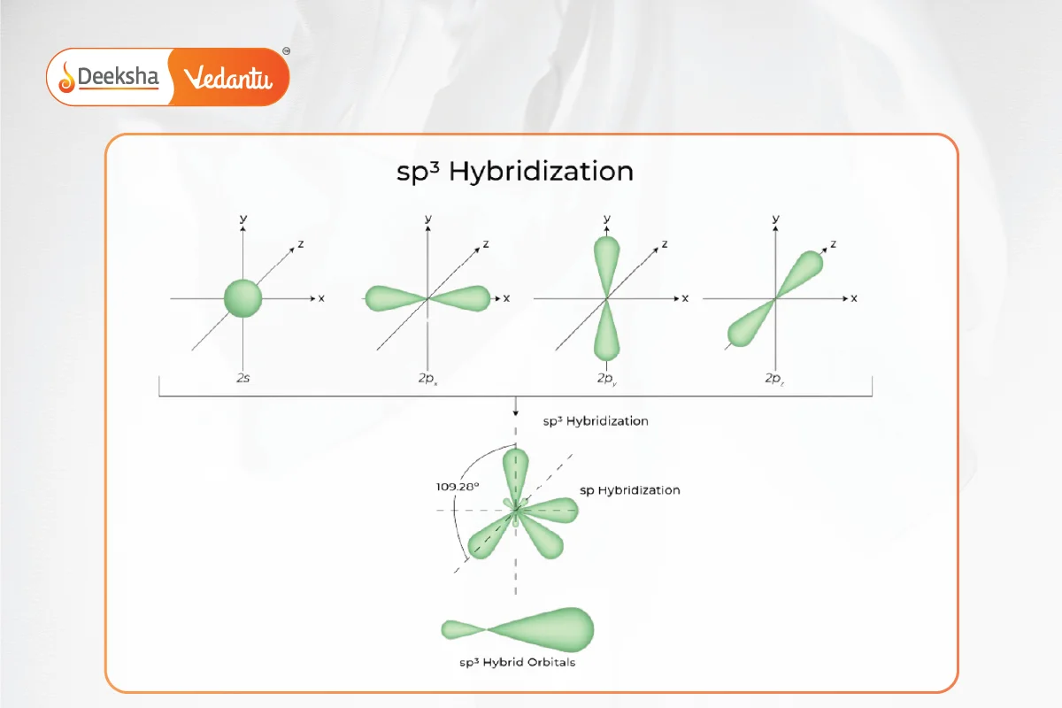 sp3 Hybridization