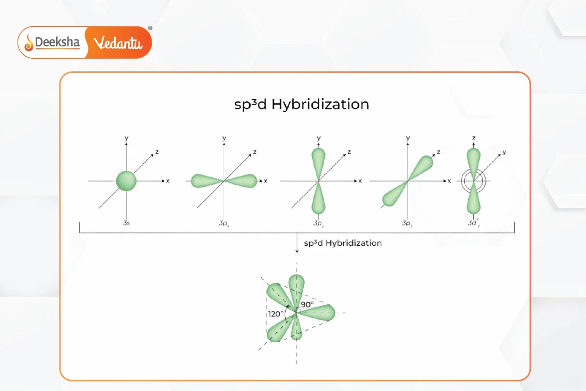 sp3d Hybridization