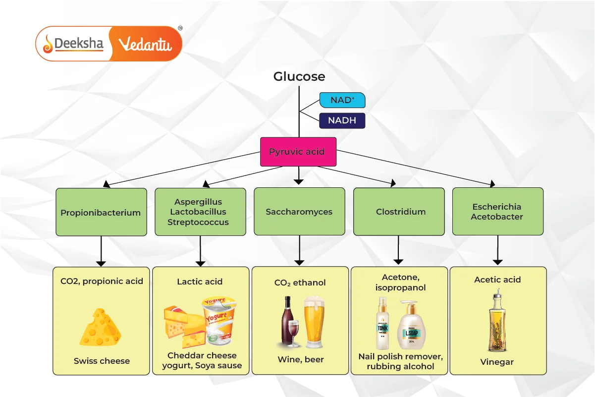 Advantages of Fermentation