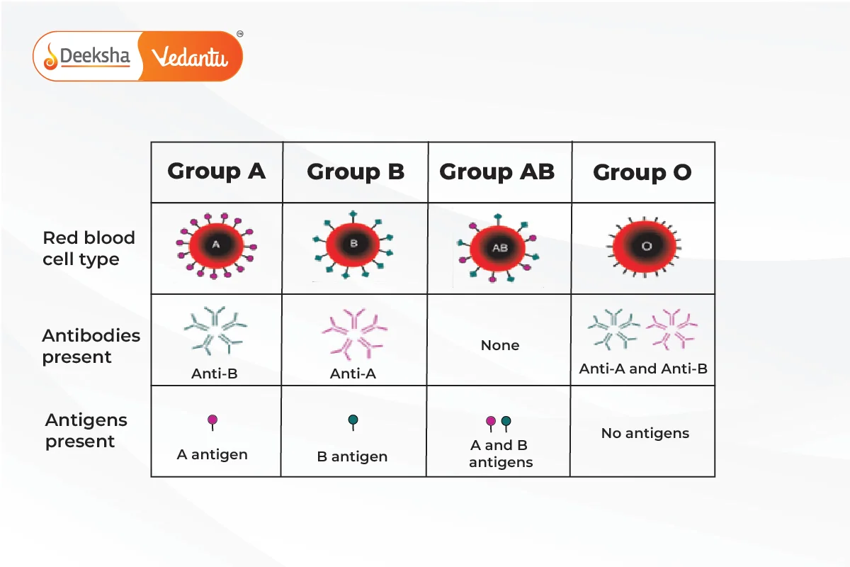 Blood Groups