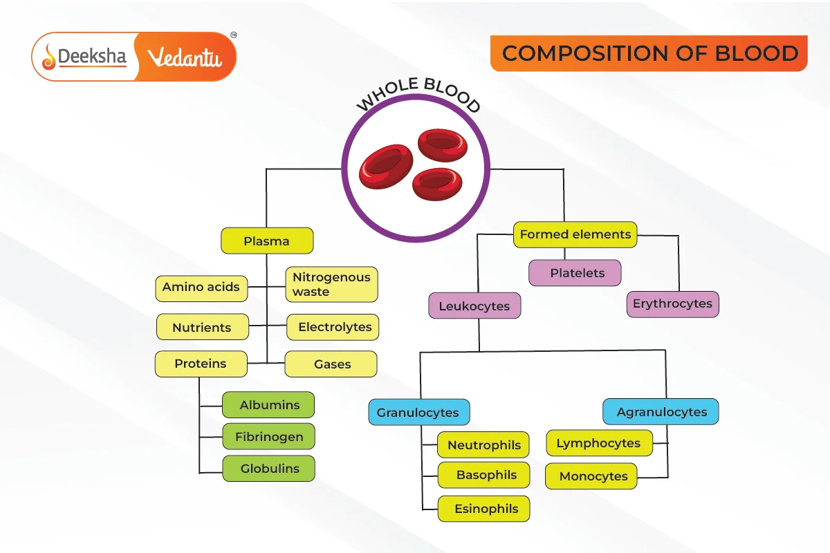 Composition of Blood