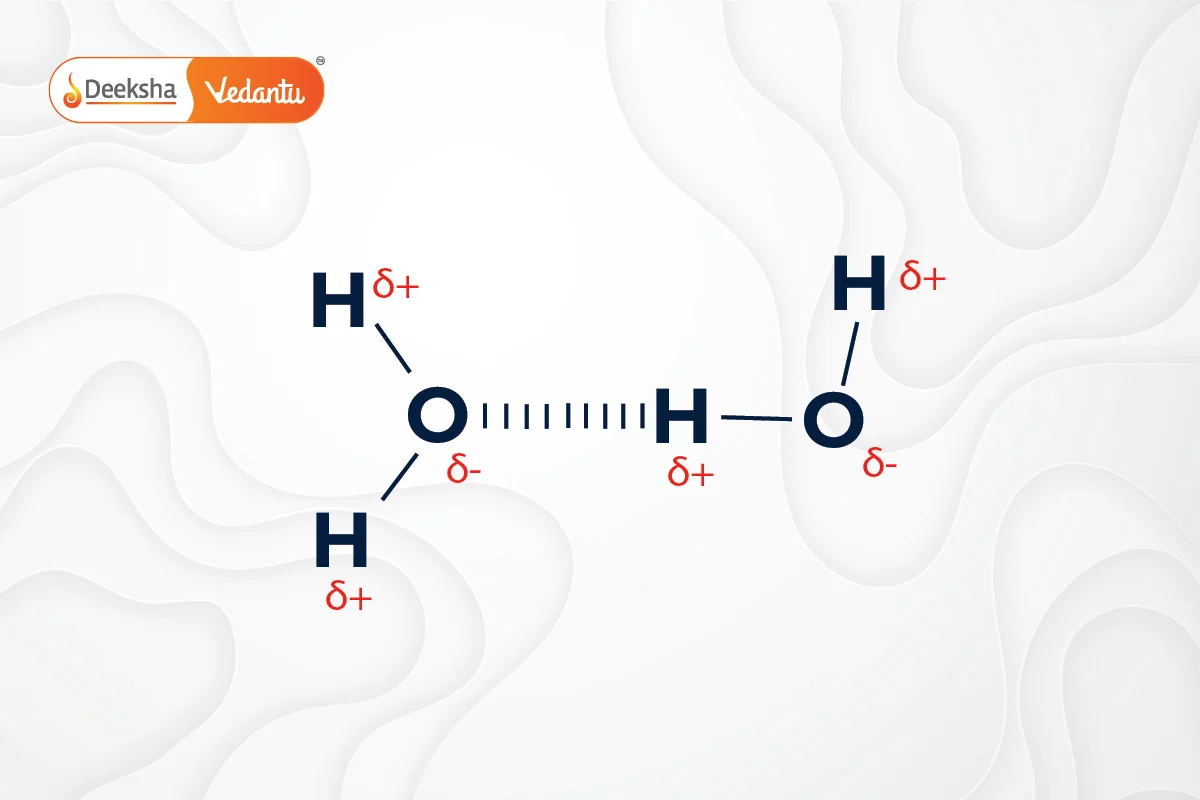 Hydrogen Bonding