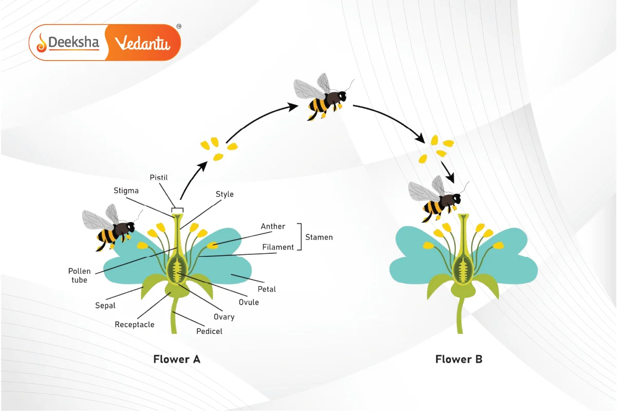 Pollination