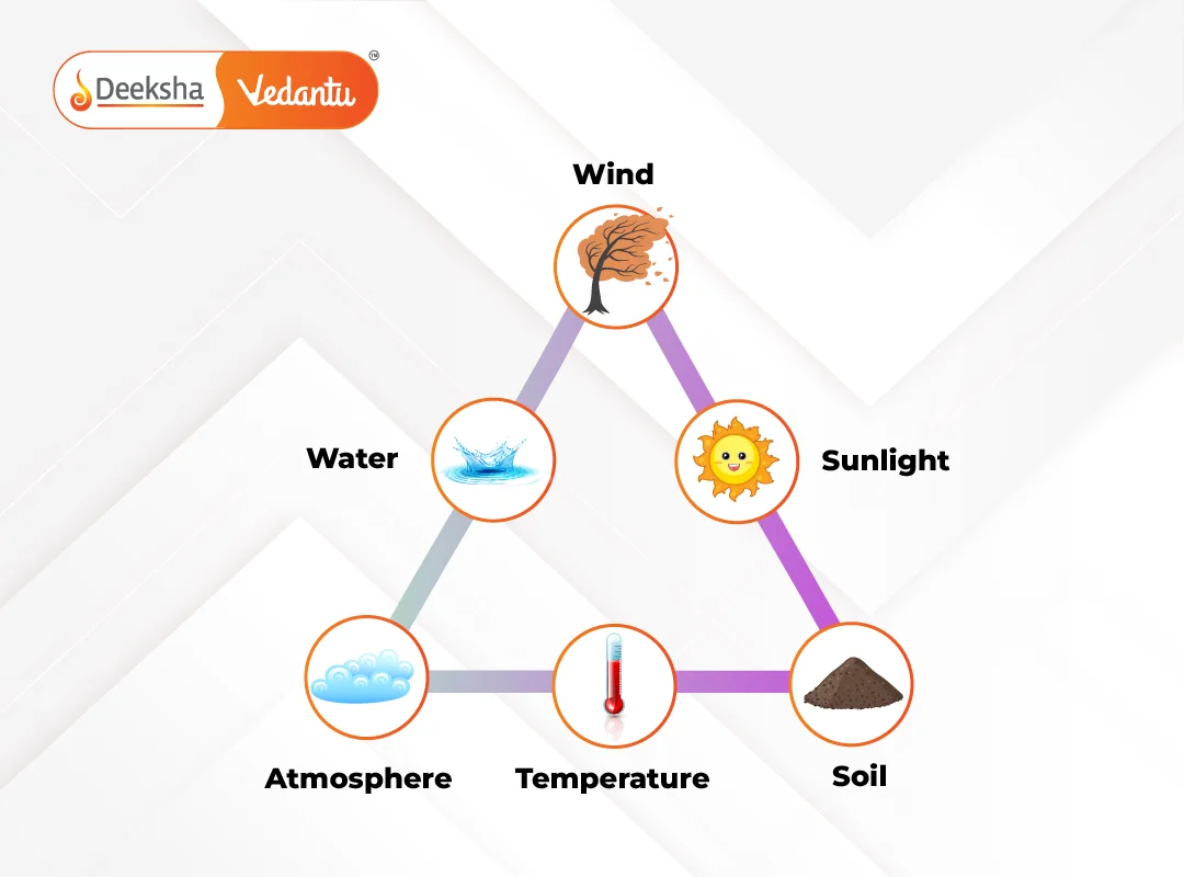 Abiotic Components