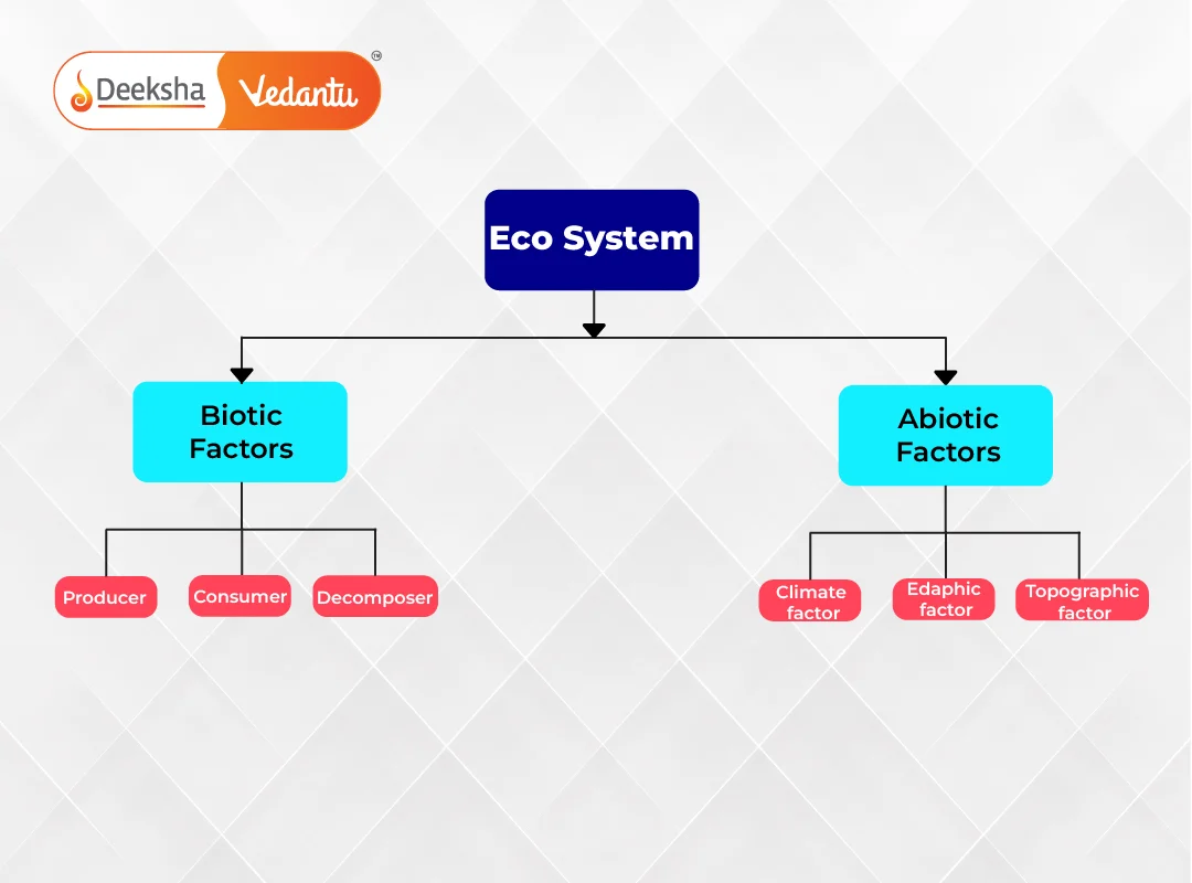 Ecosystem - What are its Components