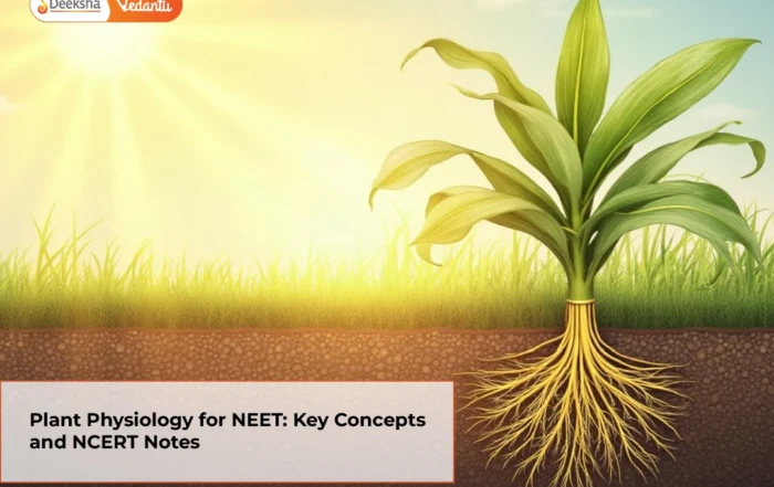 Plant Physiology for NEET Key Concepts and NCERT Notes