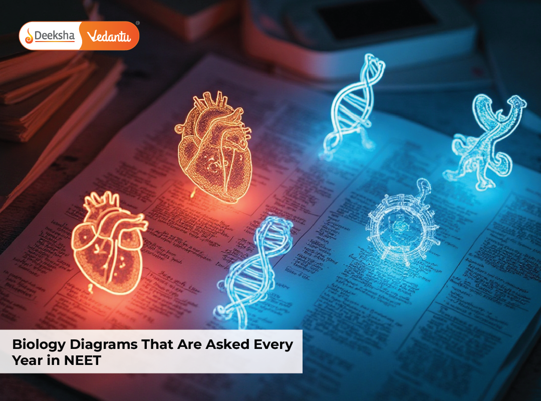 Biology Diagrams That Are Asked Every Year in NEET