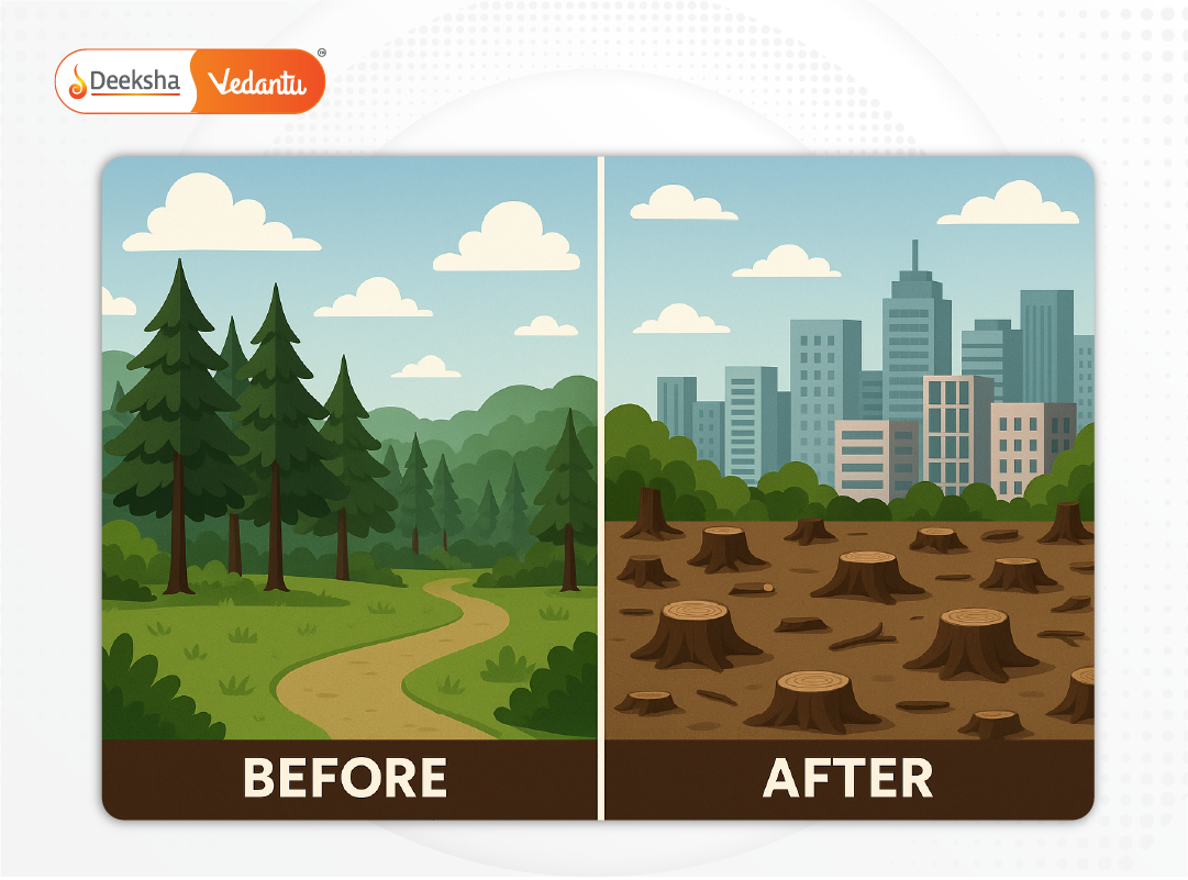 Before-and-after image showing effects of deforestation or urban expansion on a natural habitat.