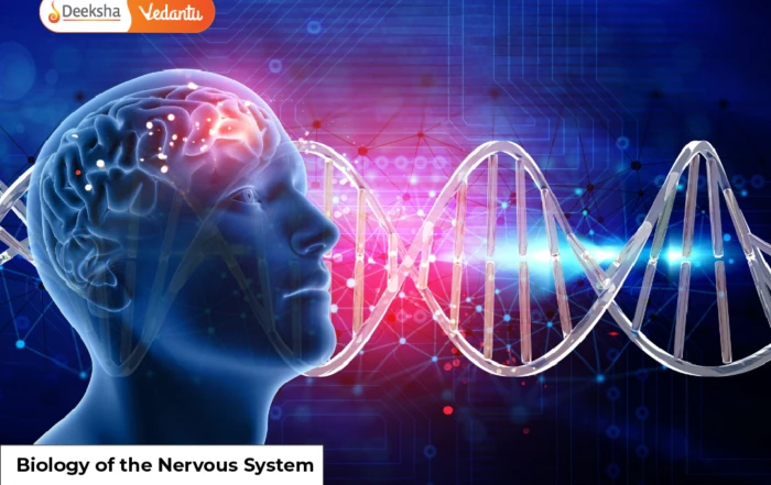 Biology of the Nervous System