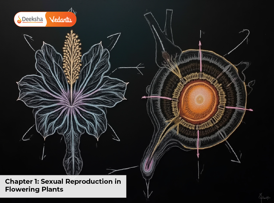 Chapter 1 Sexual Reproduction in Flowering Plants