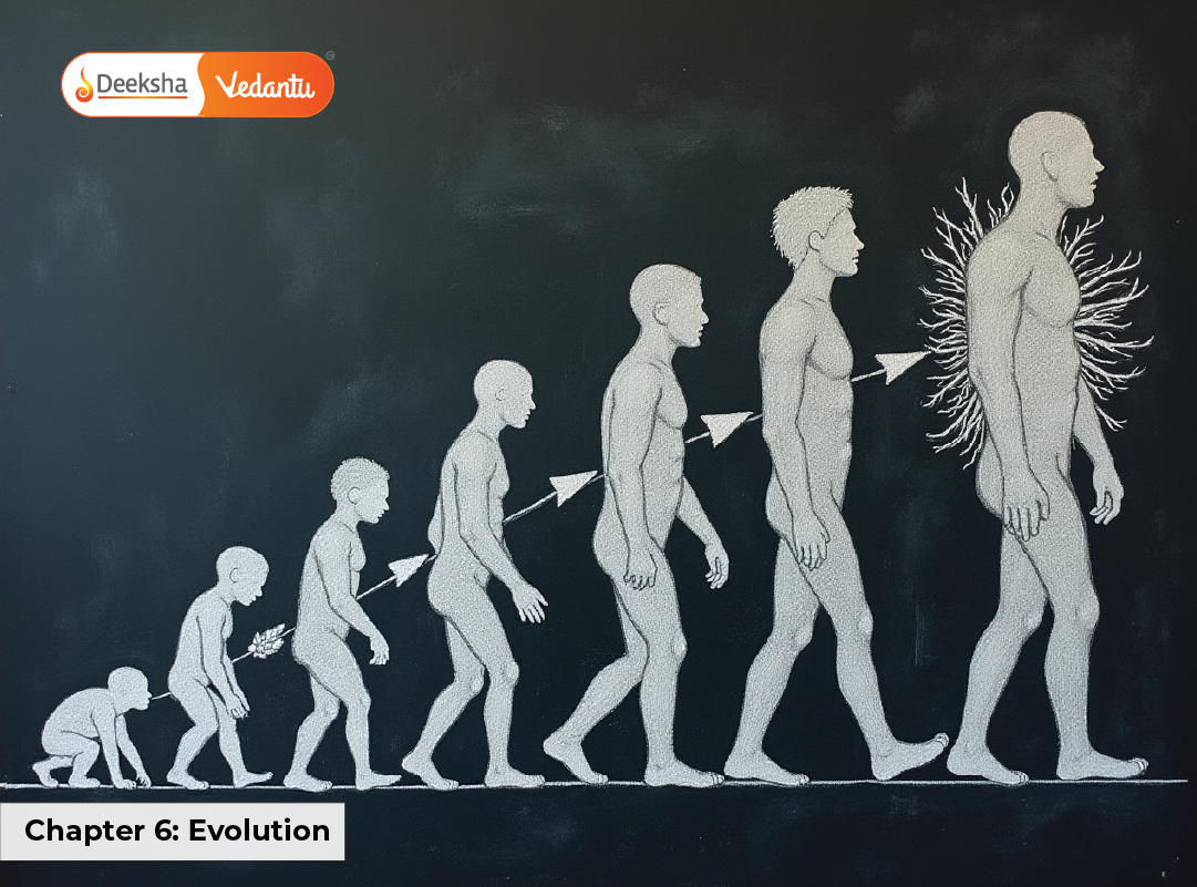 Chapter 6 Evolution Chapter 6: Evolution