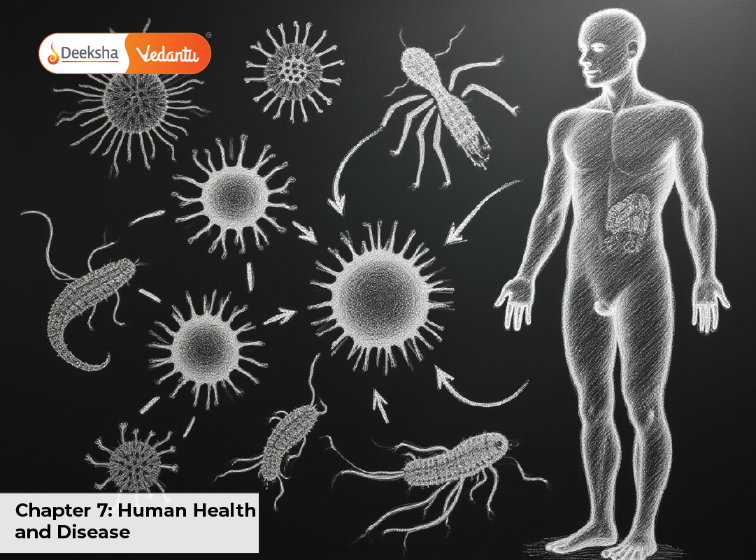 Chapter 7 Human Health and Disease Chapter 7 Human Health and Disease