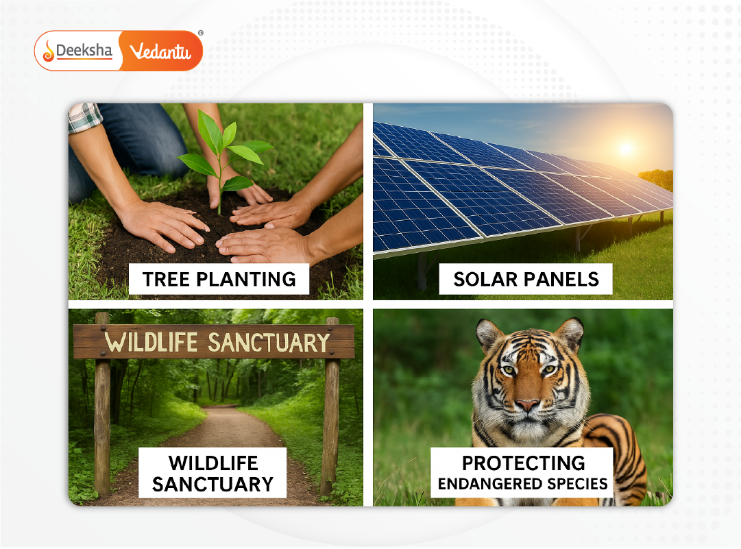 Collage of conservation efforts such as tree planting, solar panels, wildlife sanctuaries.