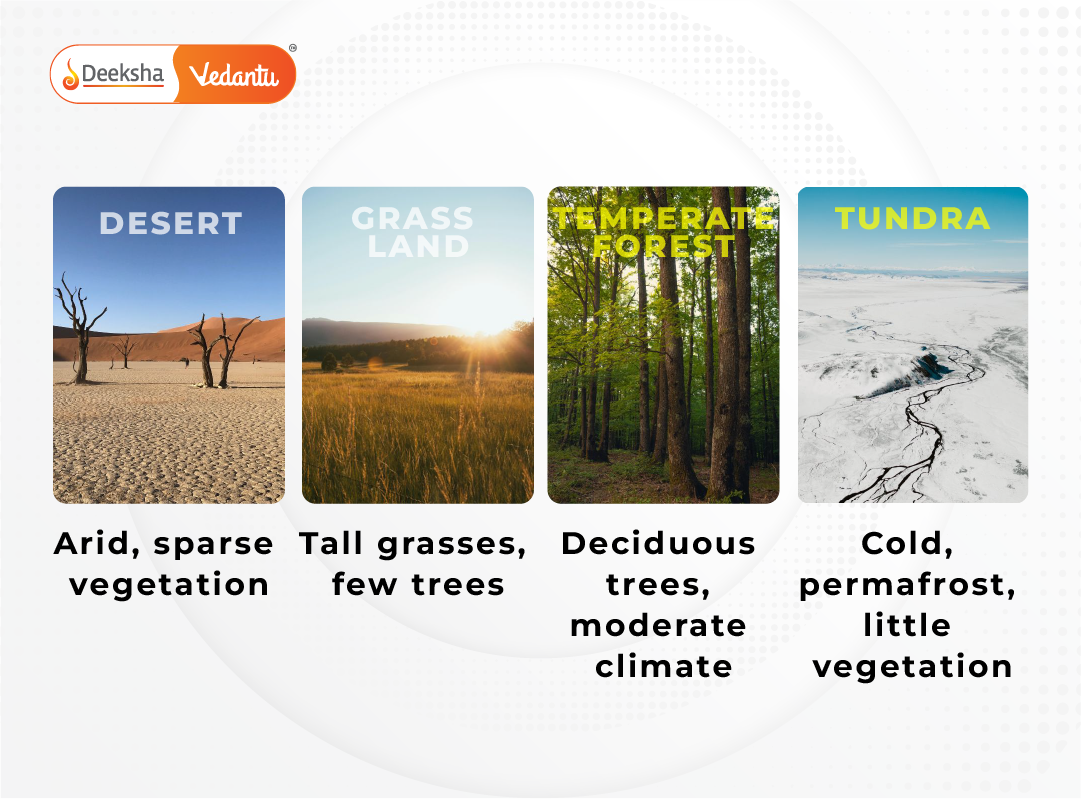 Comparative infographic showing visuals of all terrestrial ecosystems with key features.