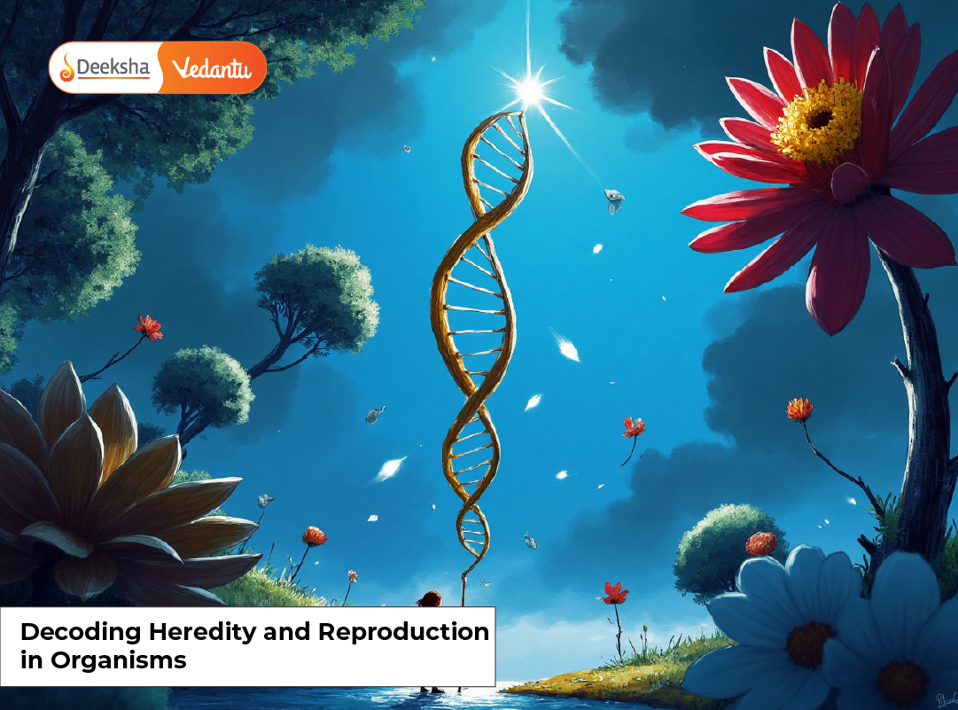 Decoding Heredity and Reproduction in Organisms