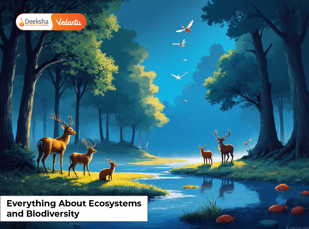 Everything About Ecosystems and Biodiversity