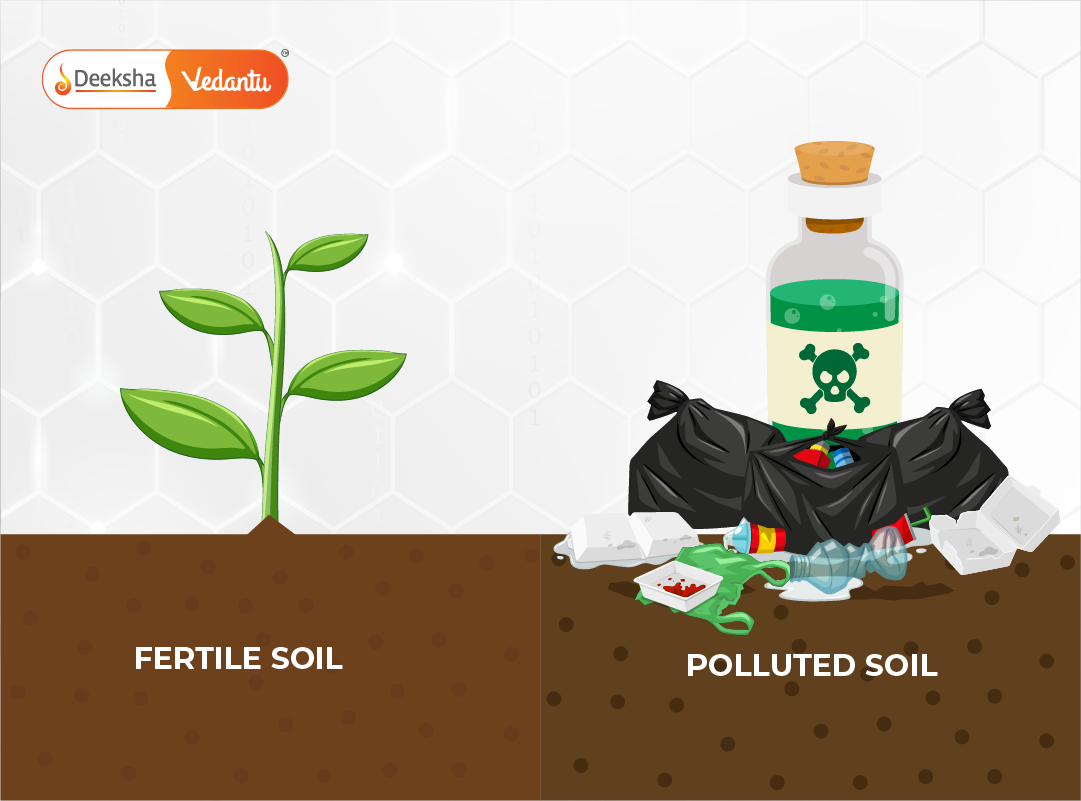 Graphic comparing fertile vs polluted soil with icons for pesticides, plastic waste, and chemicals