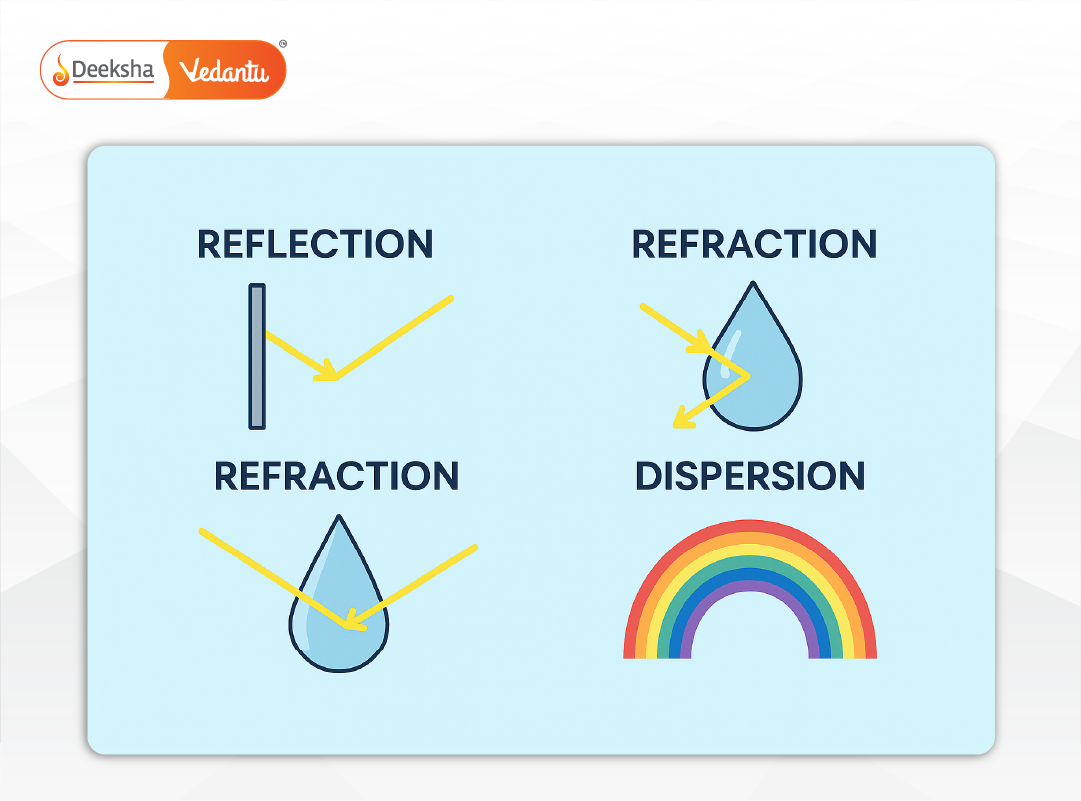 Infographic showing reflection in a mirror, refraction through a prism, light bending through a water droplet, and dispersion in a rainbow.