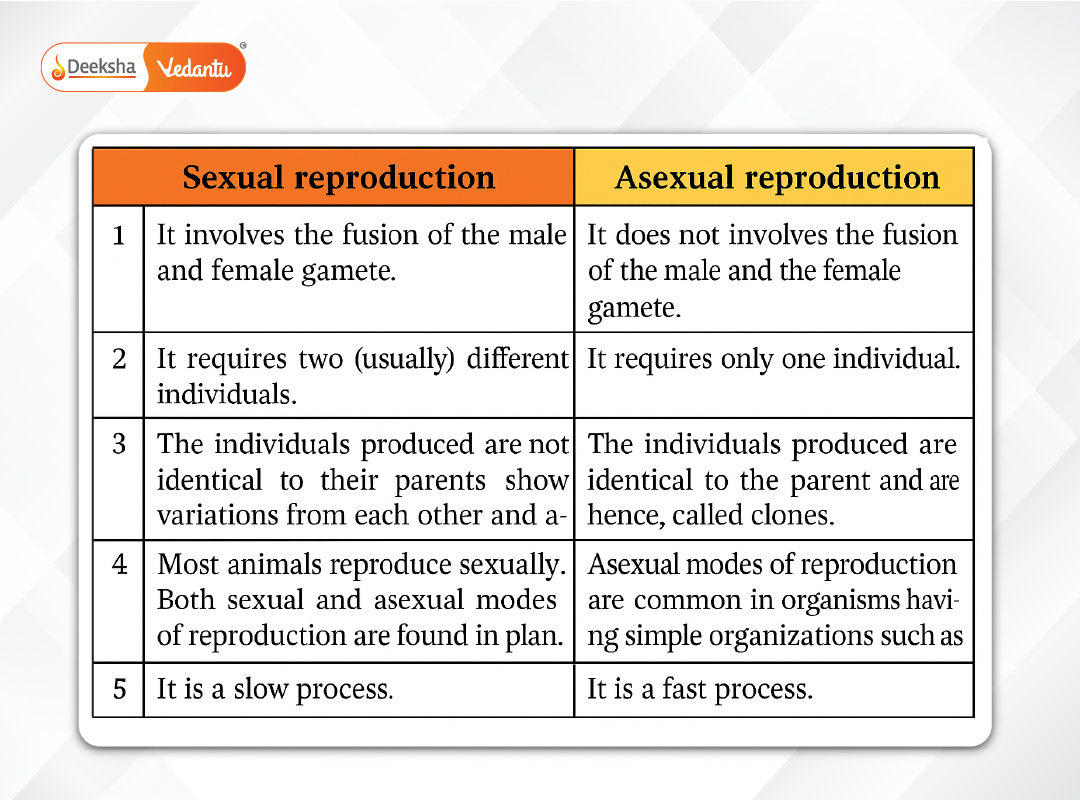 Reproduction in Organisms Modes and Mechanisms