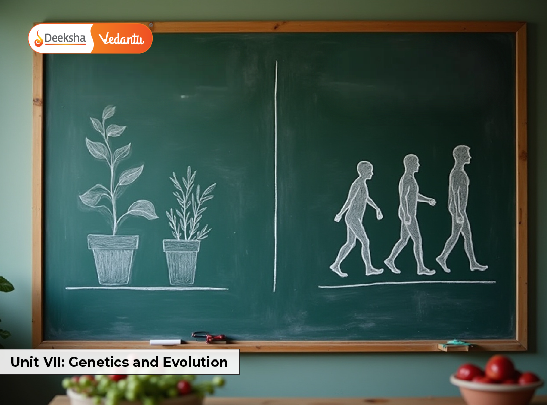 Unit VII Genetics and Evolution Unit VII Genetics and Evolution