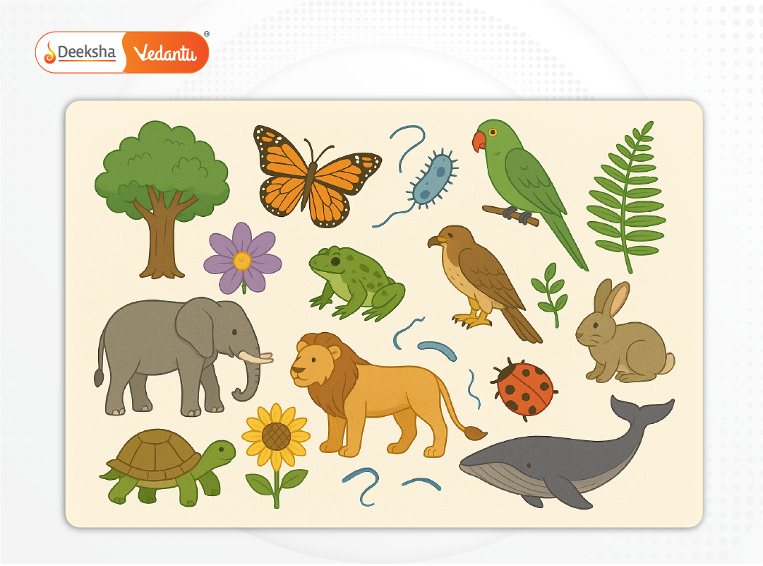 Visual collage of various species (plants, animals, microorganisms) representing biodiversity.
