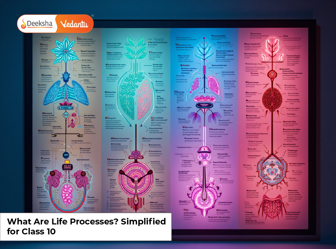 What Are Life Processes Simplified for Class 10