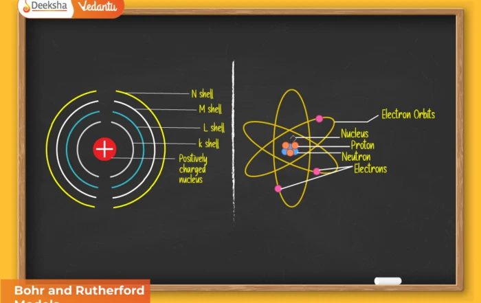 Bohr and Rutherford Models