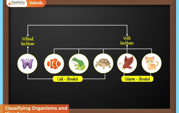 Classifying Organisms and Kingdoms