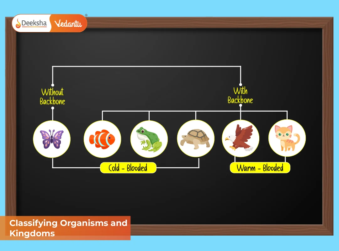 Classifying Organisms and Kingdoms