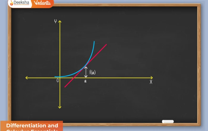 Differentiation and Calculus Essentials