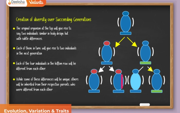 Evolution, Variation & Traits