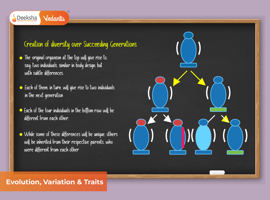 Evolution, Variation & Traits